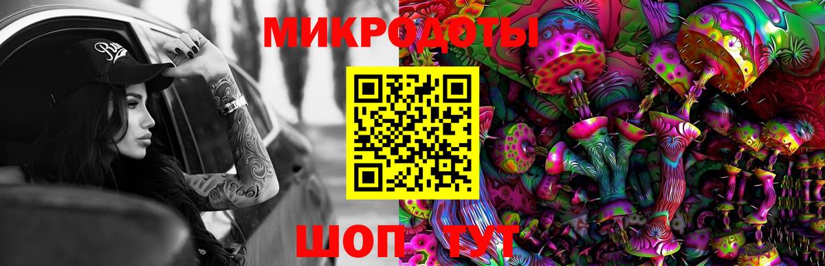 Псилоцибиновые грибы прущие грибы  Псилоцибиновые грибы Cubensis  где купить наркотик  Полысаево  Вход с VPN 